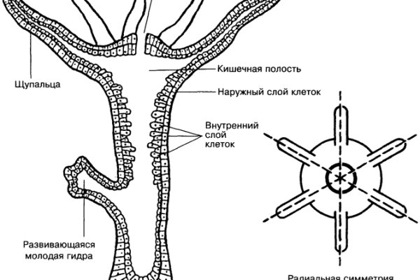 Кракен купить мефедрон
